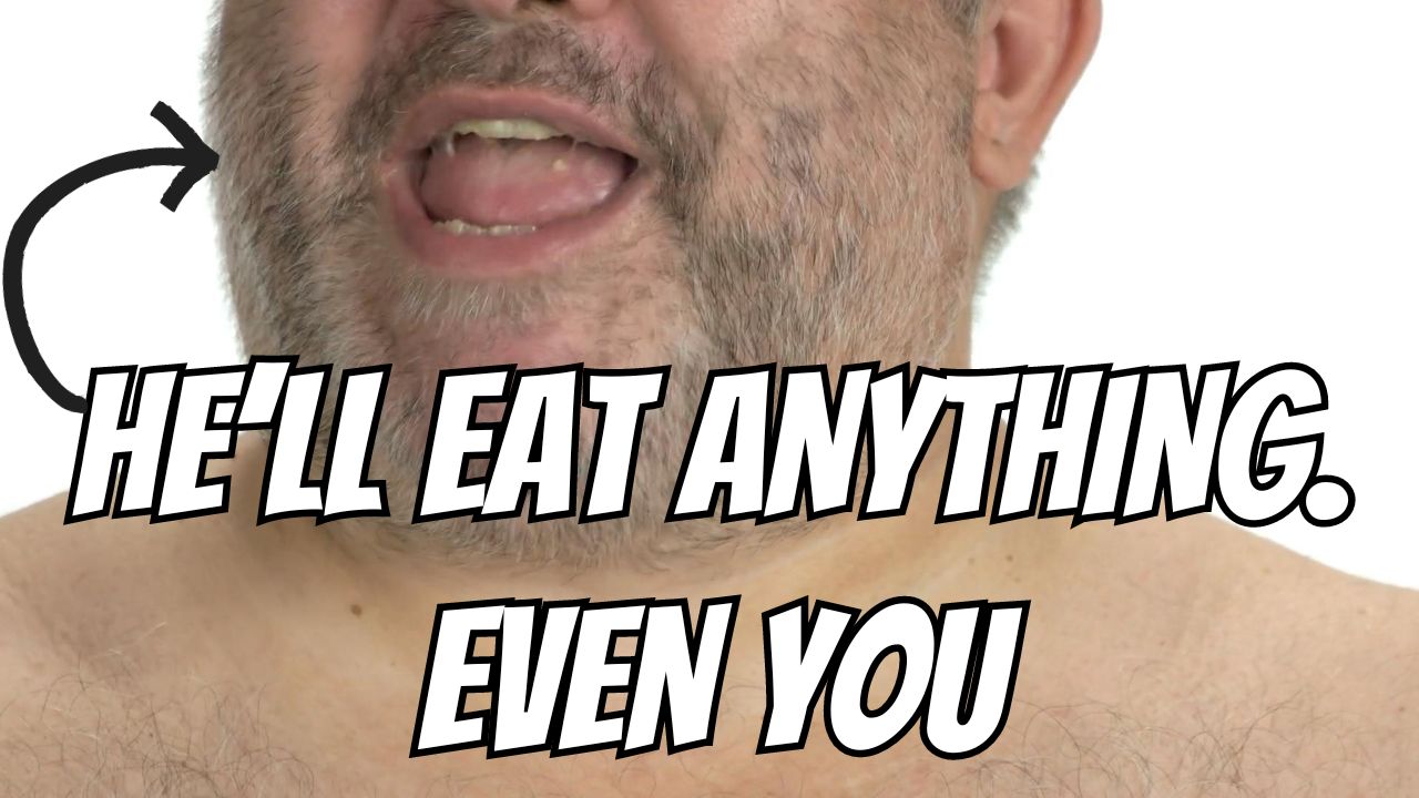 He'll eat anything. Even you. - Thriller Vault